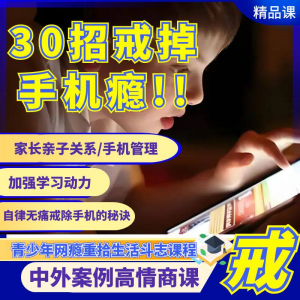 戒瘾网瘾视频教程全套管理技巧亲子关系学习动力在线课程-虚拟资料库
