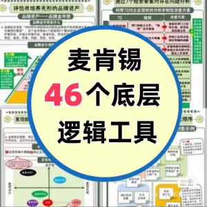 46种麦肯锡思考工具框架底层逻辑137页PPT属于芒格100个思维模型-虚拟资料库