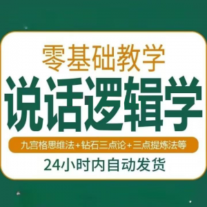说话技巧口才训练思维逻辑学习课程如何让说话更有逻辑教程视频-虚拟资料库