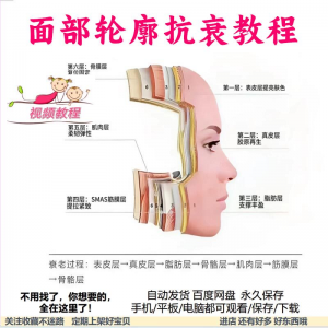 美商课程面部轮廓抗衰美肤减龄变美视频教程形象管理内在美好气色-虚拟资料库