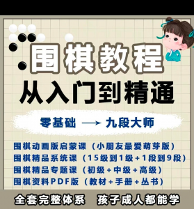 围棋教程零基础儿童视频课少儿动画启蒙围棋入门系统电子资料课程-虚拟资料库