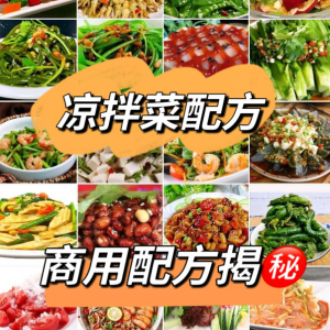 摆地摊街边特色自选拌凉菜小菜制作小吃技术配方教程培训视频教学-虚拟资料库