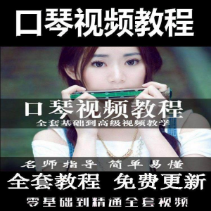 口琴自学教程视频零基础初学者入门到专业十孔24孔教学-虚拟资料库