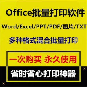 Office批量打印软件工具 Word/Excel/PPT/图片/PDF批量打印软件-虚拟资料库