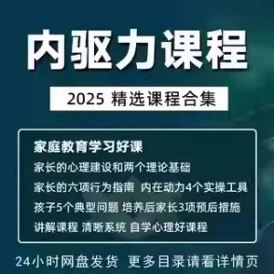 内驱力培训课程培养孩子自觉性提升内在亲子教育学习电子版资料-虚拟资料库