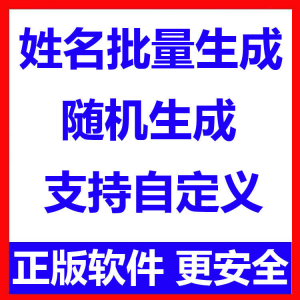 姓名批量生成工具 用户名随机不重复生成软件 可自定义-虚拟资料库
