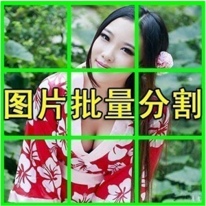 图片批量切割软件 图片批量分割工具 批量切图器 图片批量裁剪-虚拟资料库