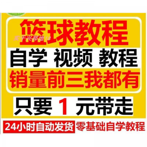篮球视频教程大全教学训练教学课程基础打篮球技巧街球零基础入门-虚拟资料库