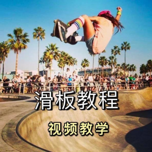 长板滑板双翘滑板教学视频教程初学者新手零基础入门自学花样刷街-虚拟资料库