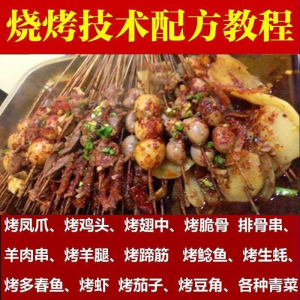 正宗全国烧烤技术配方全套视频教程配料技巧制作培训教学资料大全-虚拟资料库