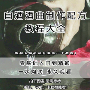 白酒酒曲制作配方教程酿酒技术秘方勾兑视频教学课程零基础学习-虚拟资料库