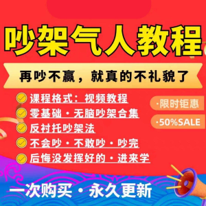 吵架指南教程视频全集从入门到精通技巧培训学习在线课程素材资料-虚拟资料库