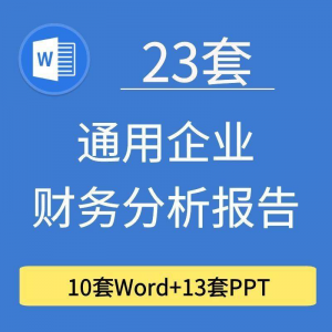 23套通用企业公司年度财务分析报告word电子文档模板PPT演示-虚拟资料库
