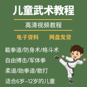 少儿童武术视频教程零基础自学咏春散打擒拿泰拳跆拳道防身术课程-虚拟资料库