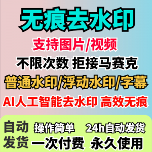 视频去水印软件无痕消除文字AI去除图片字幕水印处理手机电脑神器-虚拟资料库