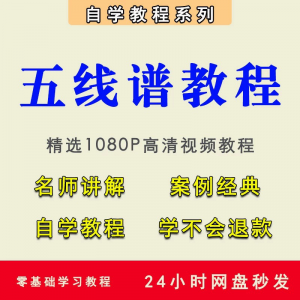 五线谱视频教程教学培训课程在线自学儿童零基础从入门到精通教程-虚拟资料库