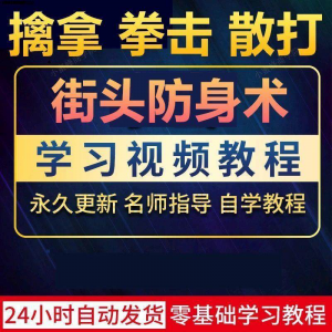 街头防身术擒拿拳击散打视频教程全套入门自学零基础学习教程视频-虚拟资料库