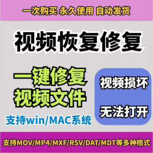 损坏MP4视频修复软件断电恢复工具短片导出摄像机视频文件修复-虚拟资料库