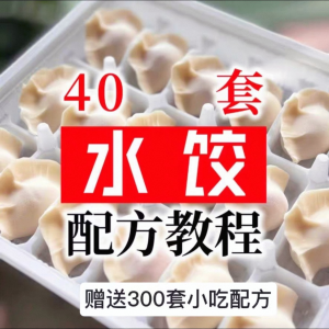 【0.01秒发】40套水饺技术配方 特制技术视频教程-虚拟资料库