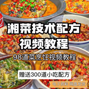 【0.01秒发】98道湘菜技术配方视频教程商用湖南菜炒菜特色小吃-虚拟资料库