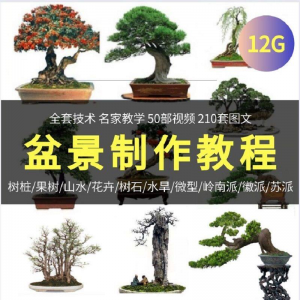 盆景制作技术视频教程工艺教学果树桩山水微型造型全套-虚拟资料库