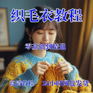 手工织毛衣视频零基础传统棒针钩针毛线编织婴儿童全套-虚拟资料库