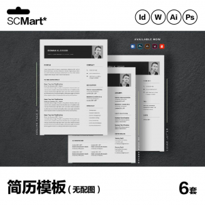 6套高级英文简历Word简历 ai psd设计师简历模板毕业生简历CV29-虚拟资料库