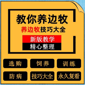 边牧训练方法教程边境牧羊犬驯养技术饲养喂养选购训犬技巧大全套-虚拟资料库