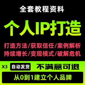 个人IP打造教程如何快速打造个人IP社交品牌定位训练营资料大全新-虚拟资料库