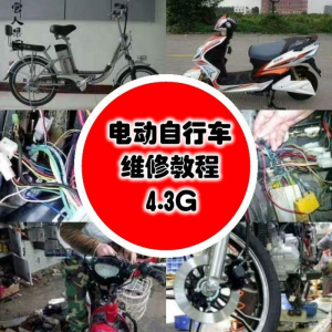 学电动车维修技术电动自行车维修技术电瓶修复技巧视频教程教学-虚拟资料库