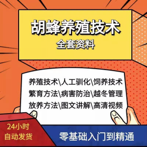 胡蜂养殖技术蜜蜂视频资料黄蜂黑盾怎样养胡蜂人工饲养教程大全-虚拟资料库