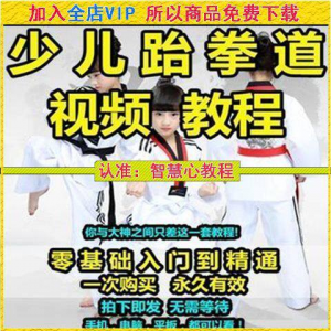 跆拳道自学教学视频跆拳道训练视频跆拳道运动教程少儿培训素材-虚拟资料库