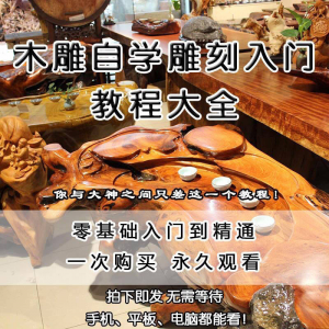 木雕自学雕刻入门教程木匠制作diy手工技术玉石学习视频教学课程-虚拟资料库