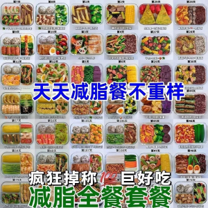 减肥食谱电子版课程 减脂餐一日三餐指导科学健康瘦身配餐计划-虚拟资料库
