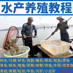 水产养殖影片教程黄颡泥鳅螃蟹乌鳢鲈鱼鲟鱼水蛭养鱼技术培训课程-虚拟资料库