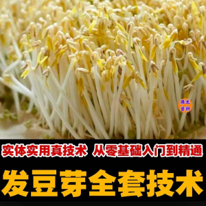 自学发豆芽技术资料豆芽加工制作方法教学 培育豆芽商用视频教程-虚拟资料库