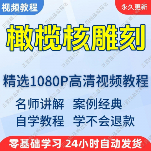橄榄核雕刻视频学习教程新手自学零基础入门精通教学课程全集-虚拟资料库