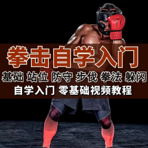 全套拳击指导视频教程自学零基础小白入门自卫搏击格斗防护资料-虚拟资料库