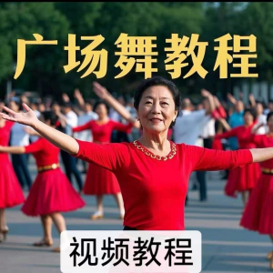 中老年广场舞视频下载高清视频教学打包MP4 MP3背面动作分解教程-虚拟资料库