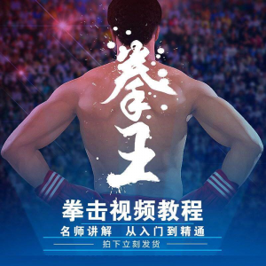 拳击教学视频 自学教程 训练零基础运动入门健身搏击格斗武术课程-虚拟资料库