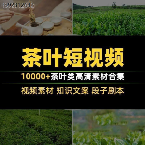 茶叶茶业茶具茶道茶艺茶文化知识文案茶园采茶泡茶高清短视频素材-虚拟资料库