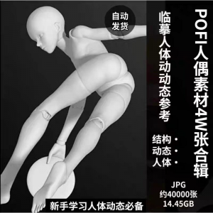 pofi无限人偶4W截图绘画素材pofi无线人偶人体动态学习素材临摹-虚拟资料库