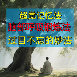 过目不忘修炼记忆力脑部呼吸锻炼法改造大脑健身气功养生训练方法-虚拟资料库