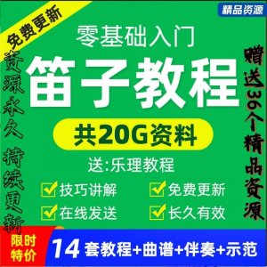 零基础笛子教程自学入门进阶视频初学者教学成人儿童学竹笛教材全-虚拟资料库