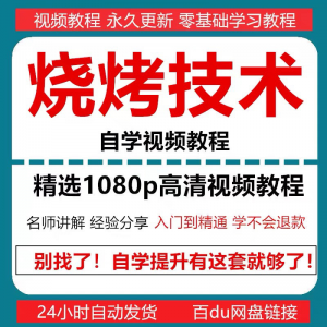 烧烤技术教程视频配方书东北重庆烧烤技术配方教程自学教材零基础-虚拟资料库