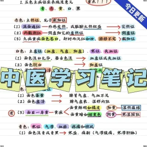 彩色中医手写笔记中医学理论中医学笔记资料参考中医考研学霸笔记-虚拟资料库
