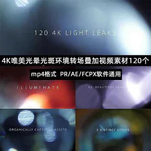120组高清唯美Pr光晕炫光光斑电影MV婚礼光效转场MP4特效视频素材-虚拟资料库