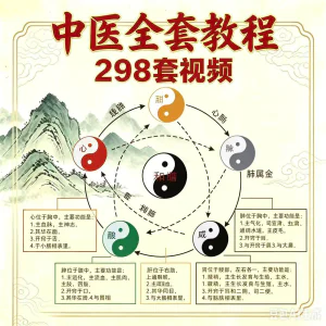 自学中医基础理论视频课教材全套学习资料素材电子版全套教学讲解-虚拟资料库