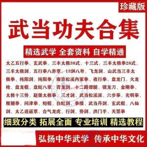 武当功夫拳法视频教程内功养生太极轻功剑法太乙五行拳武术课程-虚拟资料库